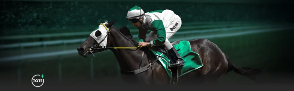 备战圣诞狂,阿森纳,月连战,Bet365官网,Bet365注册,Bet365开户,Bet365优惠