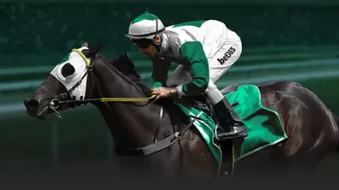 备战圣诞狂欢！阿森纳12月连战8场，官方揭秘超燃魔鬼赛程大挑战！